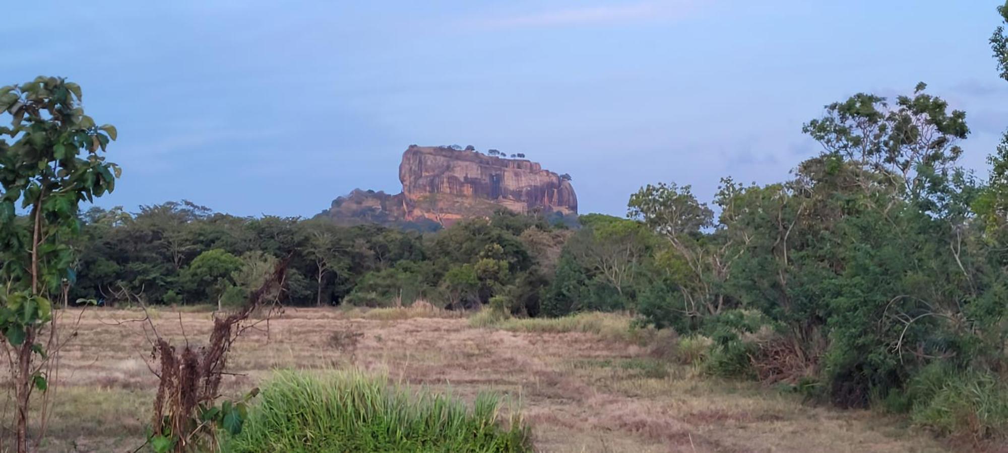Lion King Jungle Cabanas سيغيرِيا المظهر الخارجي الصورة