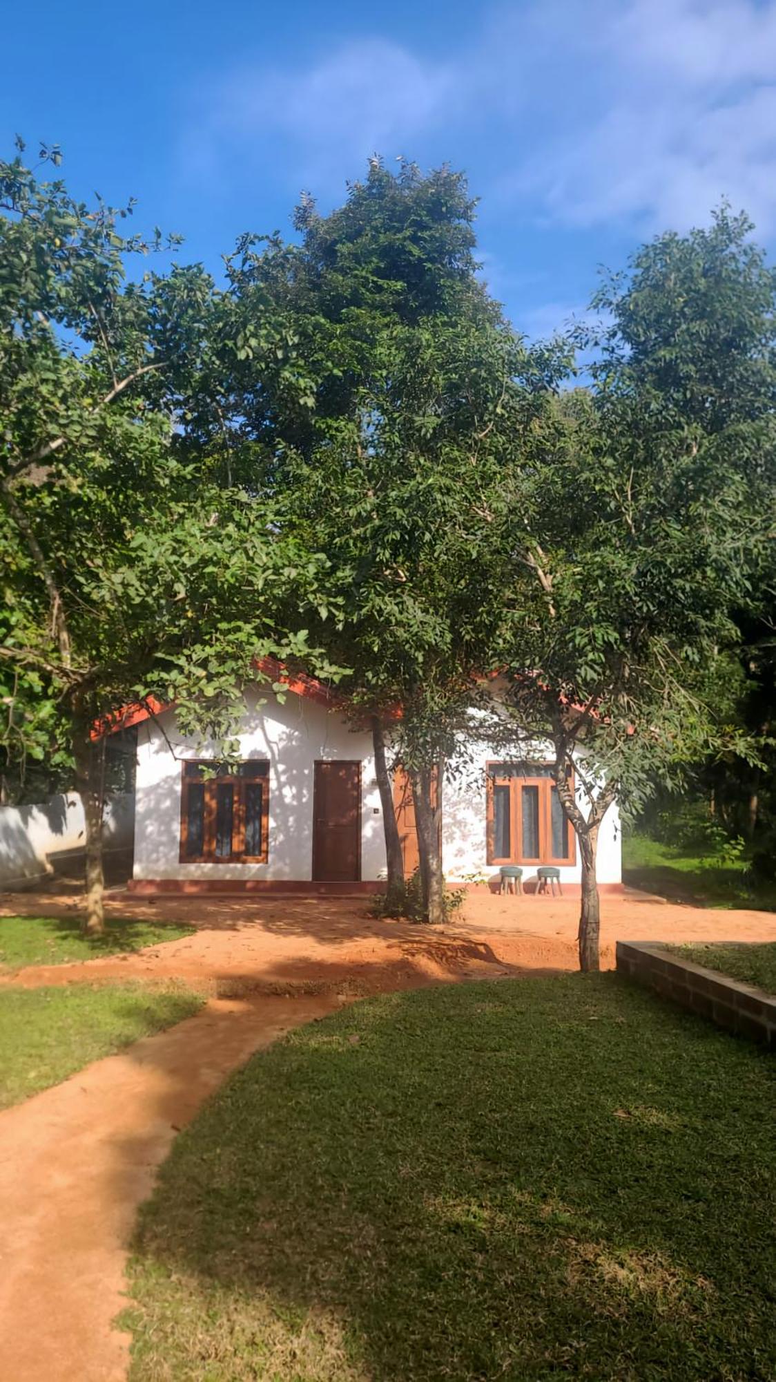Lion King Jungle Cabanas سيغيرِيا المظهر الخارجي الصورة